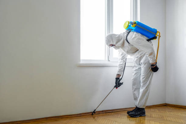 Pest Control for Warehouses in Tukwila, WA